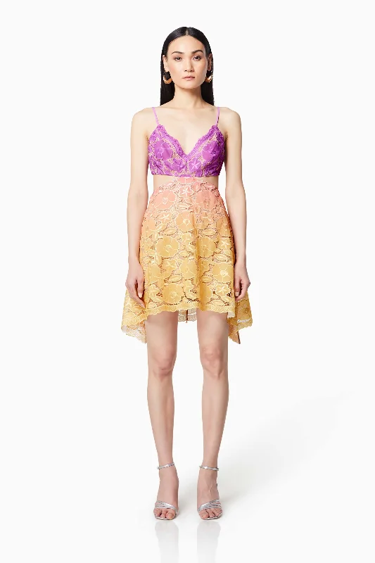 Vice Ombre Lace Mini Dress In Purple